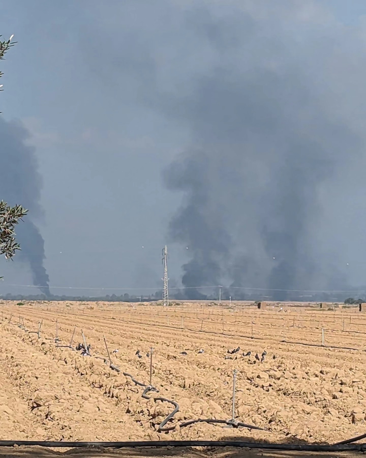 Field and dark smoke in the sky