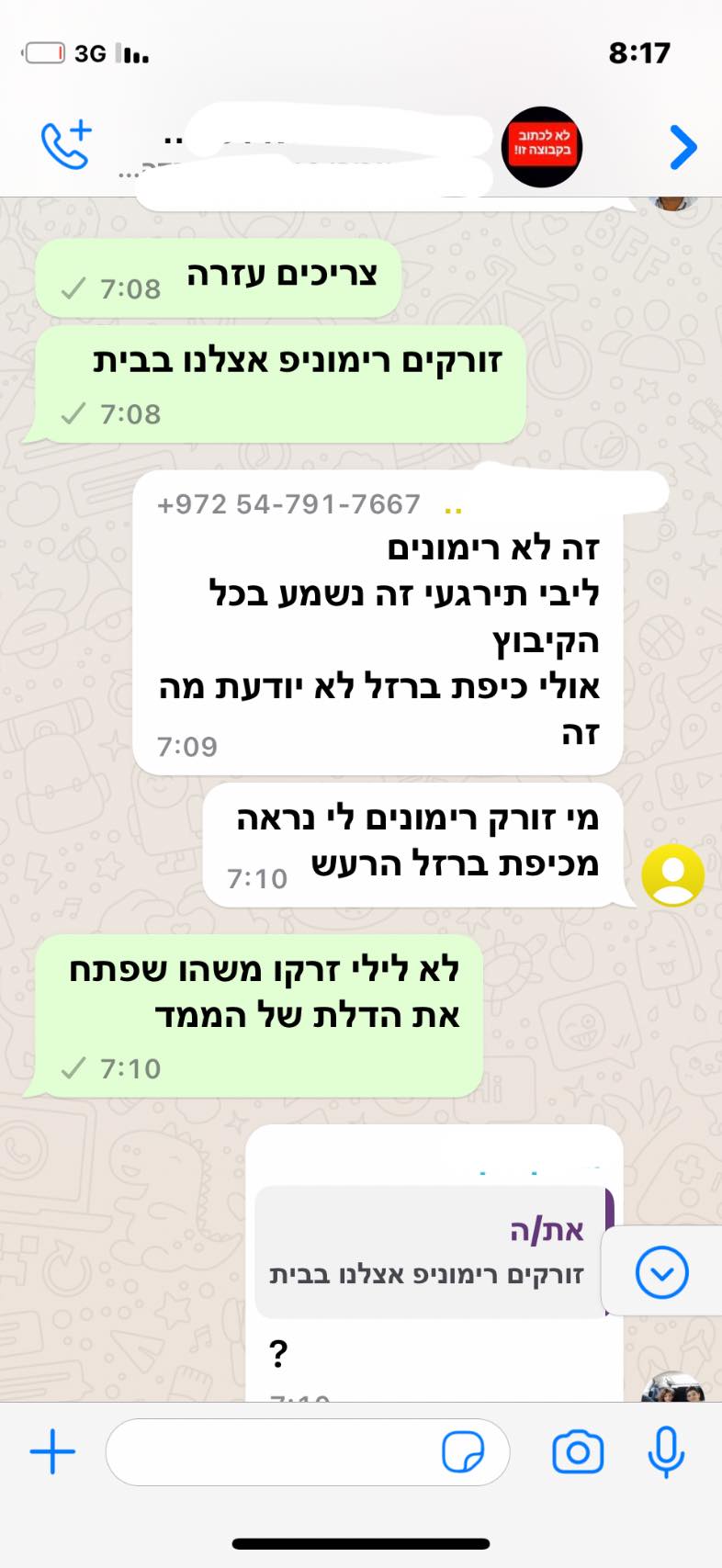 Livnat S.'s story - WhatsApp conversation