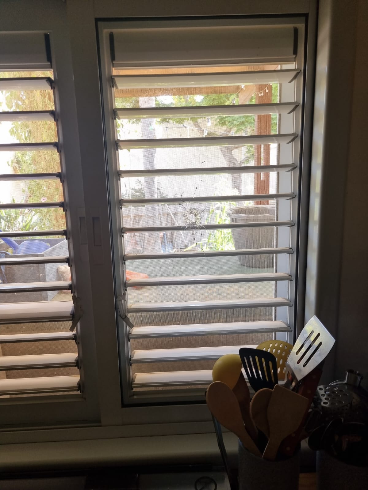 kitchen window with a bullet hole