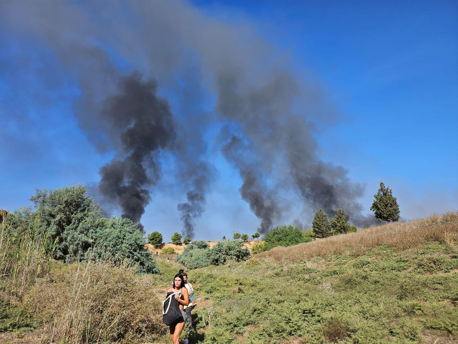 People are walking in a field with clouds of smoke behind them