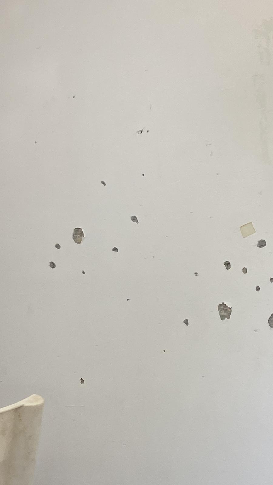 A wall with gunshot marks