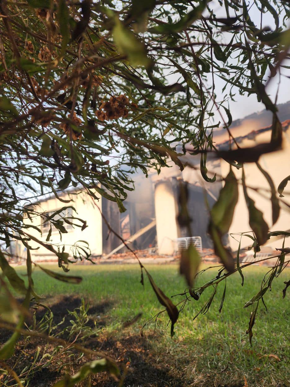 picture of a smoking home through the bushes